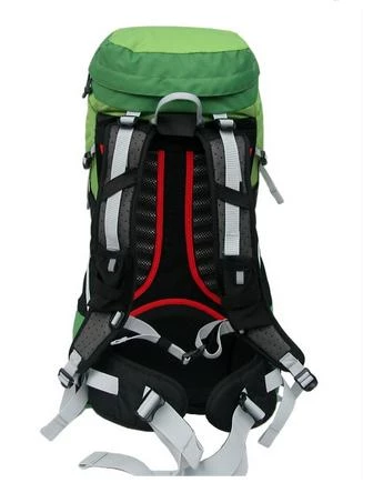 Evolite Walker Sırt Çantası - 40lt  Yeşil