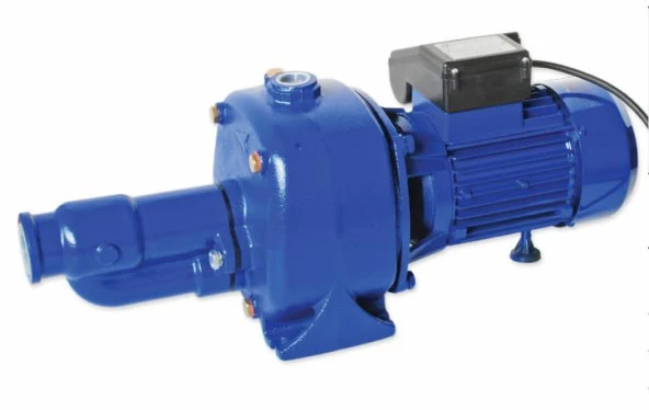 Water Sound JDP750B Çift Kademeli Jet Pompa 2hp