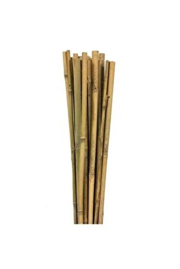 Gardener Bambu Bitki Destek Çubuğu   60cm