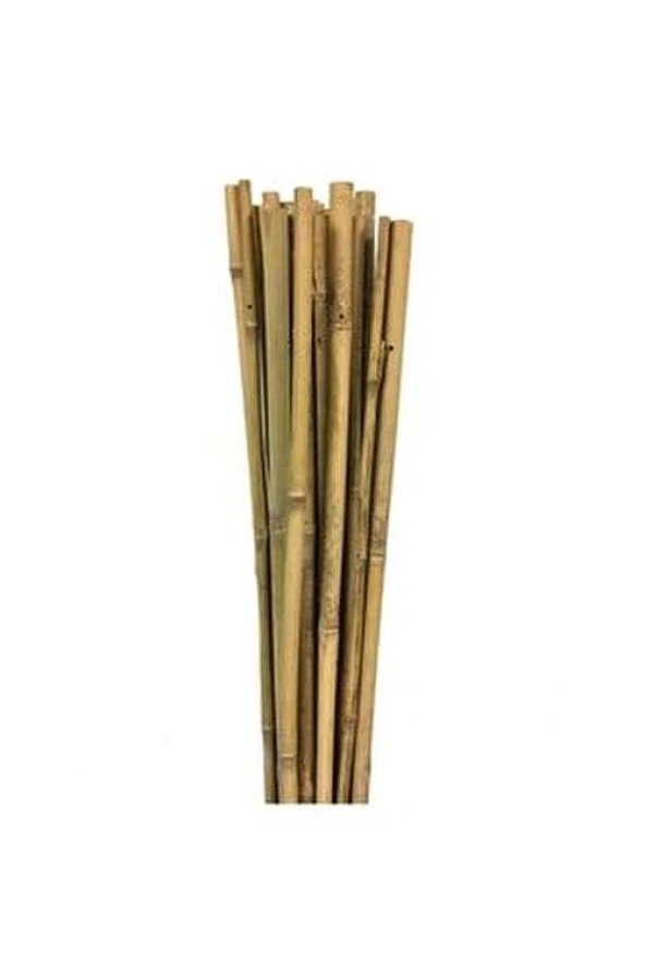 Gardener Bambu Bitki Destek Çubuğu   120cm