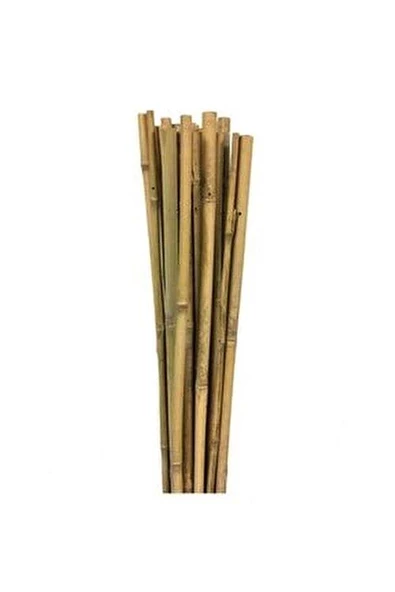 Gardener Bambu Bitki Destek Çubuğu   60cm