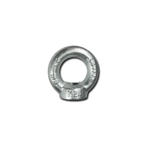 Galvaniz Dişi Aybolt  M16