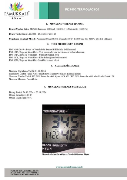 Pamukkale Thermolac 600 Derece Isıya Dayanıklı Boya 2.5 Kg Metalik Gri - Resim 4