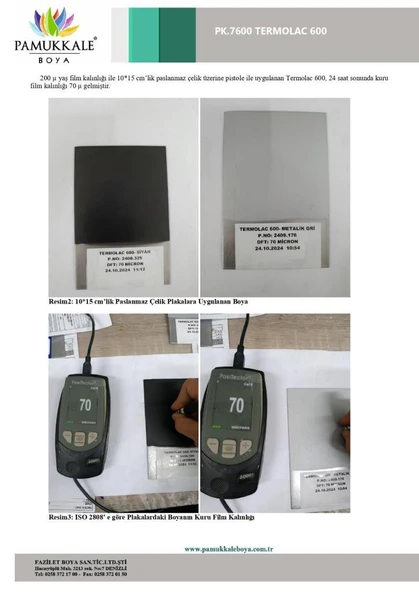 Pamukkale Thermolac 600 Derece Isıya Dayanıklı Boya 2.5 Kg Metalik Gri - Resim 5