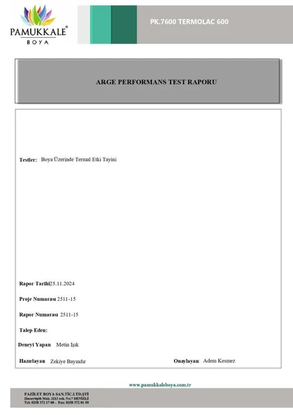Pamukkale Thermolac 600 Derece Isıya Dayanıklı Boya 2.5 Kg Metalik Gri - Resim 3