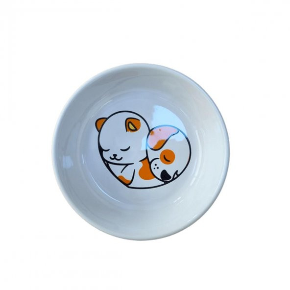 Yıkanabilir Seramik Mama Ve Su Kabı 14 Cm 250 Ml Pupyorange NO : 4 - 2