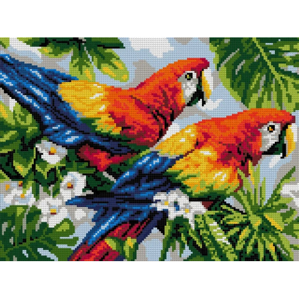 Diamond mosaic 40x30 cm Parrot Couple