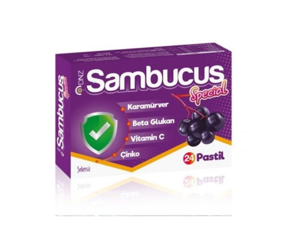 Sambucus Special 24 Pastil 8699956001036