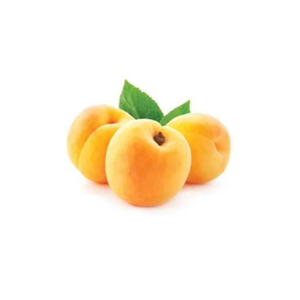 Tüplü, Aşılı Şekerpare Kayısı Fidanı ürün görseli