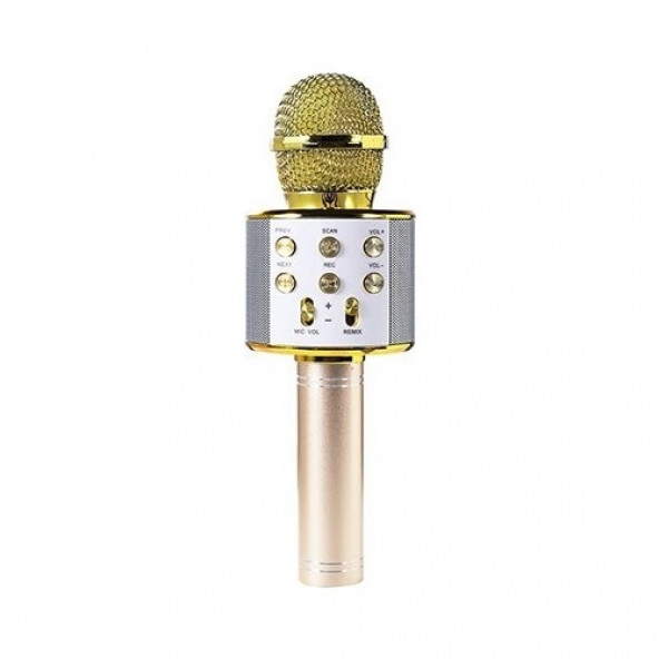 Desingshop Bt-Aux-Usb-Tf Card Destekli Karaoke Mikrofon - Gold