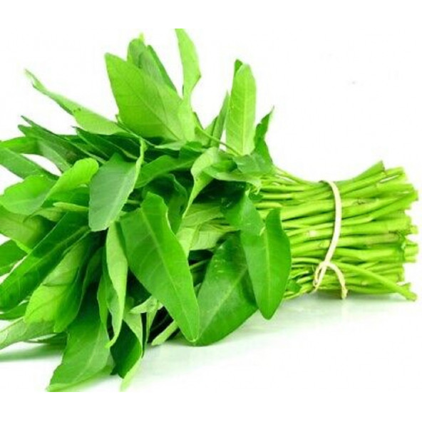 Murat Tohumculuk Çin Su Ispanağı Tohumu ürün görseli