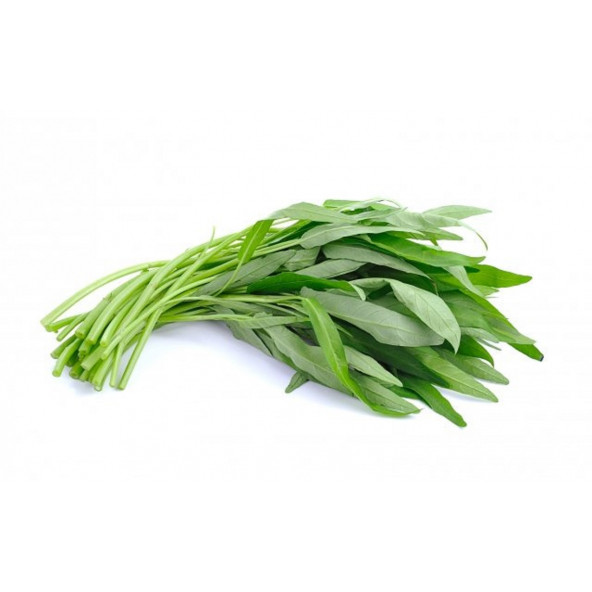 Murat Tohumculuk Çin Su Ispanağı Tohumu - Resim 4