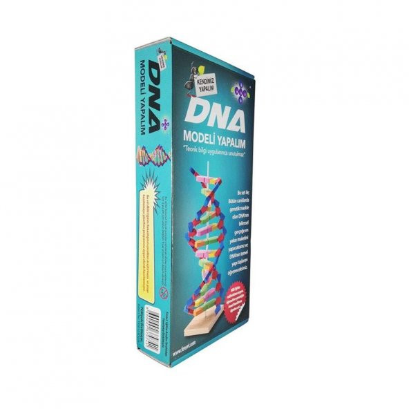 Hobi Eğitim Dünyası Fenset DNA Modeli Yapalıml Eğitici Deney Seti - 3