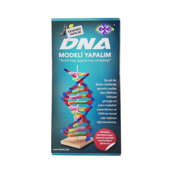 Hobi Eğitim Dünyası Fenset DNA Modeli Yapalıml Eğitici Deney Seti - 4