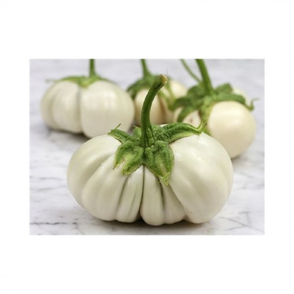 Tay Beyaz Nervürlü Patlıcan Tohumu - Resim 2