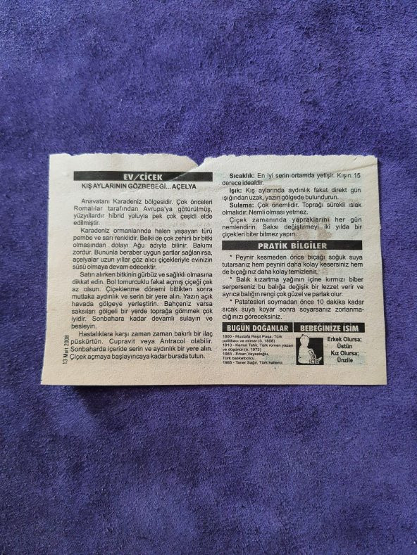 13 Mart 2008 Takvim Yaprağı - Nostaljik Koleksiyonluk Takvim Yaprağı - Resim 2