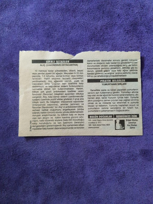 25 Mart 2008 Takvim Yaprağı - Nostaljik Koleksiyonluk Takvim Yaprağı - Resim 2