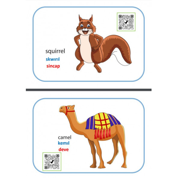 Hayvanları İngilizce Öğreten Karekodlu Ezber Kartları - Resim 4