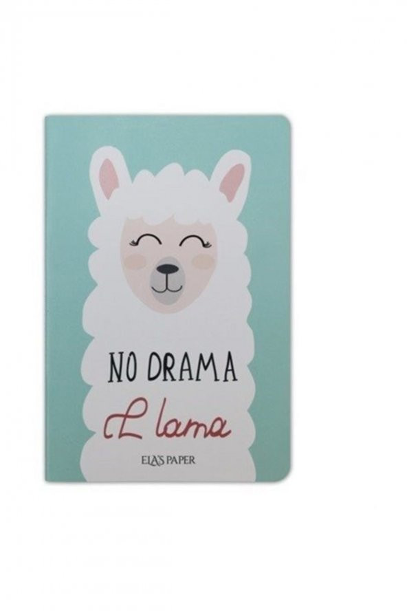 Lama Düz Twins (2 Defter Takım) - NULL