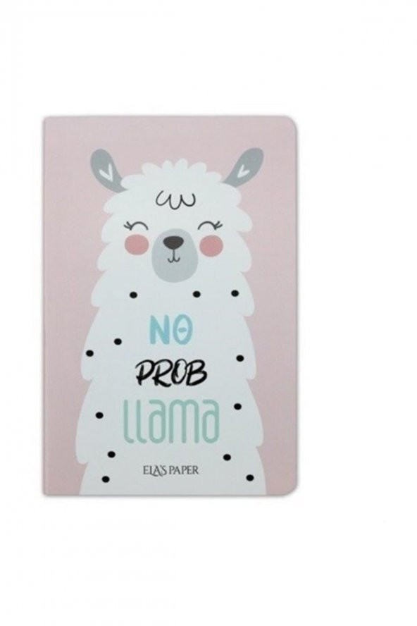 Lama Düz Twins (2 Defter Takım) - NULL - 3