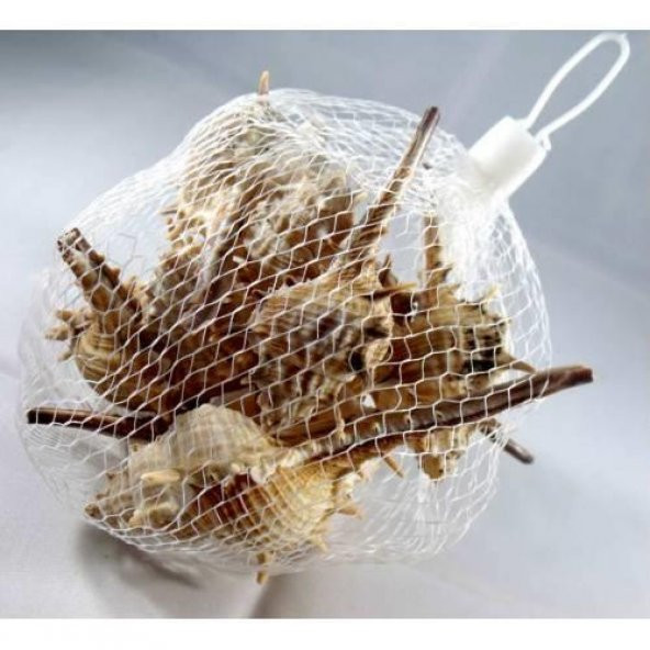 %100 NATUREL DOĞAL GERÇEK DENİZ KABUĞU 500 Gram -MMM4765 - 4