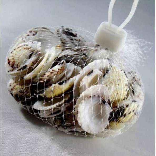 %100 NATUREL DOĞAL GERÇEK DENİZ KABUĞU 500 Gram -MMM4768 - 3