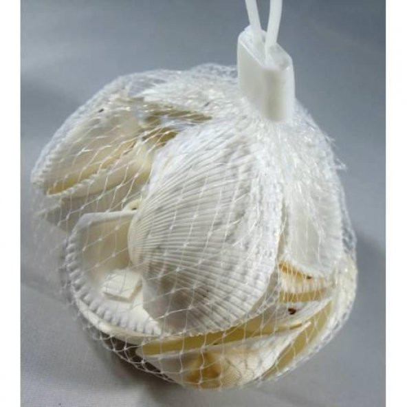 %100 NATUREL DOĞAL GERÇEK DENİZ KABUĞU 500 Gram -MMM4767 - 3