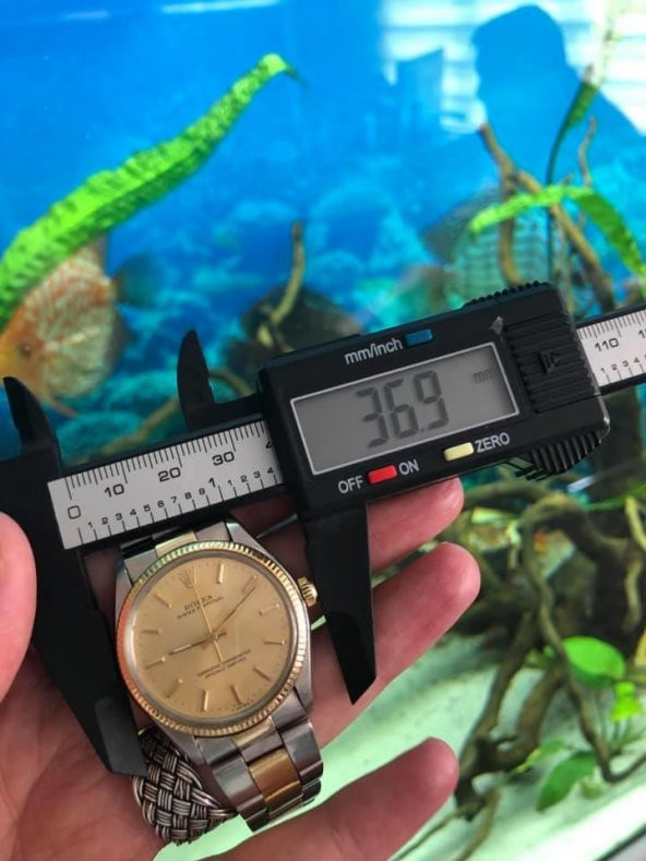 Rolex Oyster Perpetual Altın Çelik Kol Saati 34mm - 6