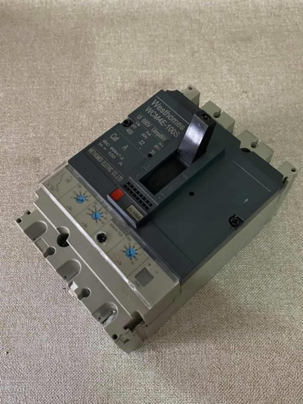 Westhomes 100A 8kV Kaçak Akım Korumalı Şalter WCM4E-100S - 5