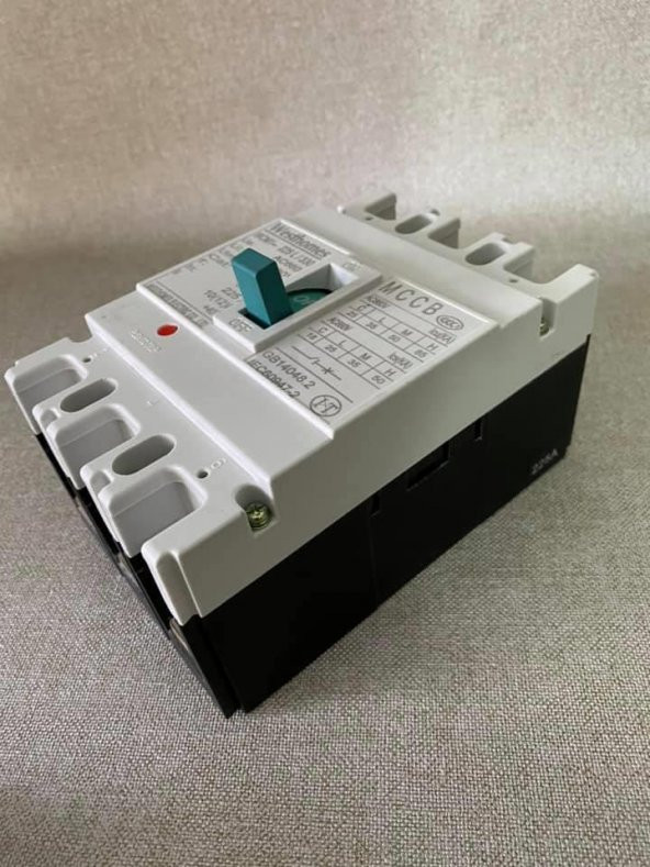 Westhomes 225A 8Kv Kaçak Akım Korumalı Şalter WCM1-225L/3300 - 7