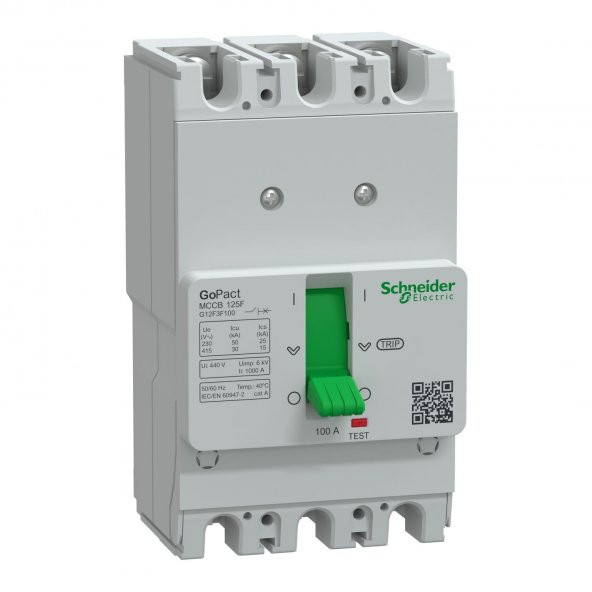 Schneider,GoPact 100A Sabit 3P Termik Manyetik Ş30kA,G12F3F100
