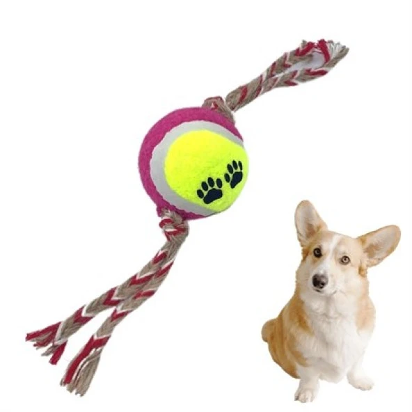 nefertiya  Renkli Halat Ve Tenis Toplu Yumaklı Köpek Çekiştirme Halat Oyuncağı
