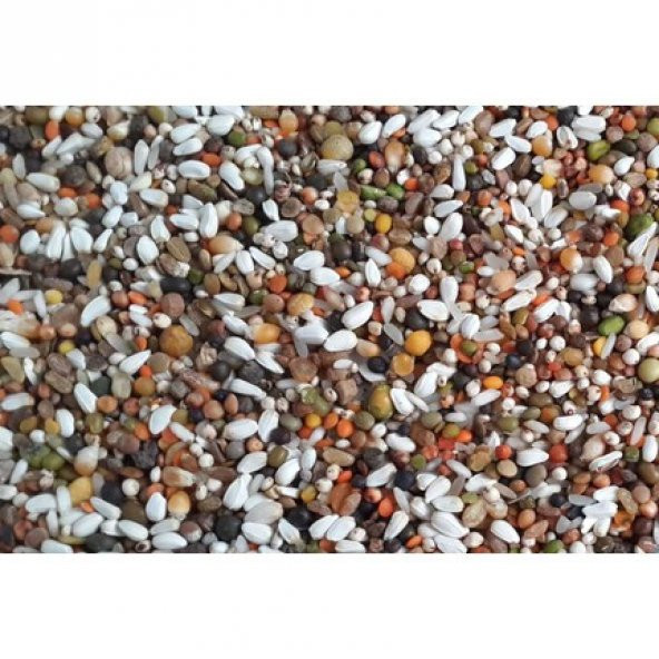 Güvercin Yemi Karışık Güvercin Yemi Lüx Ekonomik Açık 5 Kg