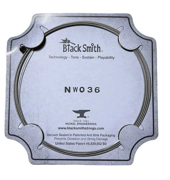 BLACKSMİTH ELEKTRO GİTAR TEK TEL PL036 - 1