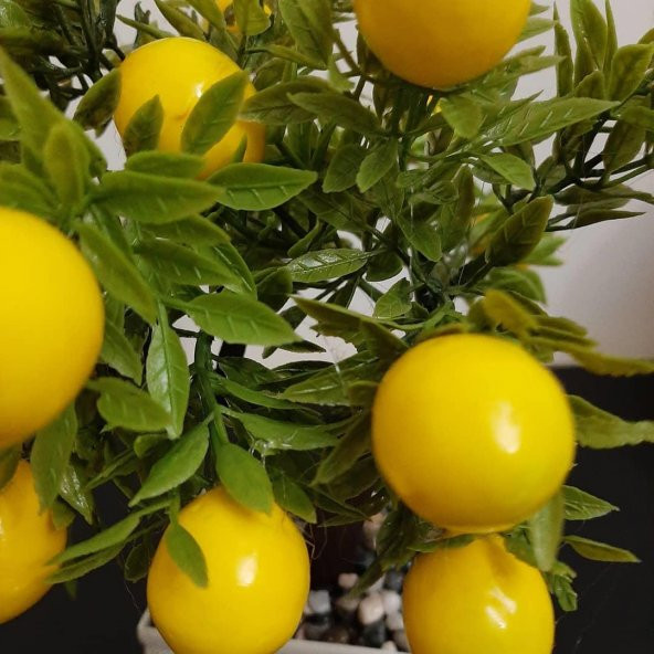 Yapay Limon Ağacı , 23cm. Yapay Limon - 3