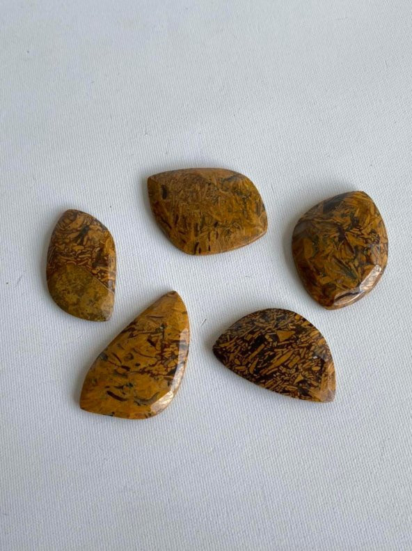 Kabaşon Kesim Doğal Coquina Jasper Taşı 21 Gram Lot 6