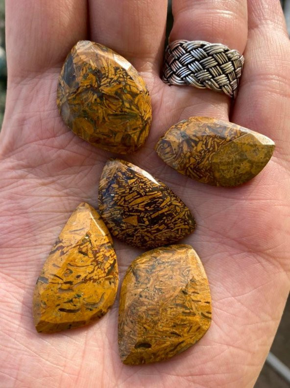 Kabaşon Kesim Doğal Coquina Jasper Taşı 21 Gram Lot 6 - 4