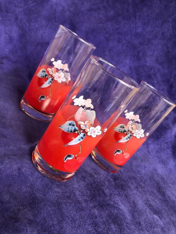 3Lü Nostaljik Cam Su Bardağı - İçki Şerbet Bardak Seti - 5