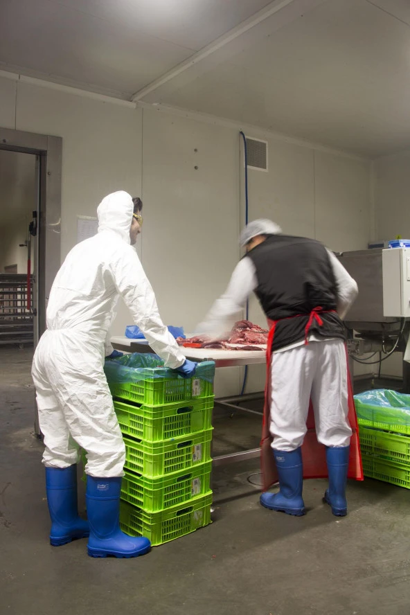 POLLYBOOT MAVİ/MAVİ ALFA ÇİZME NO:44 - 4