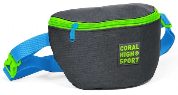 Coral High Sport Gri-Yeşil İki Bölmeli Bel Çantası ürün görseli