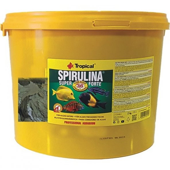 Tropical Spirulina Super Forte Flakes 100 gr Poşet Pul Yem