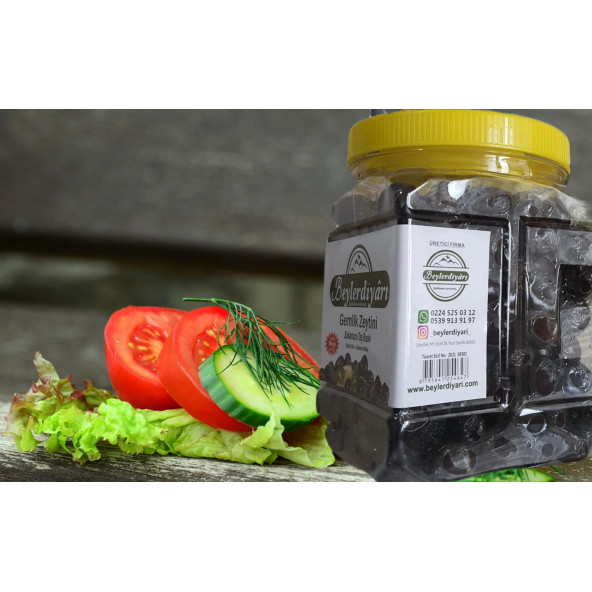 BEYLER DİYARI Gemlik Megalodon zeytin 1 kg - 2