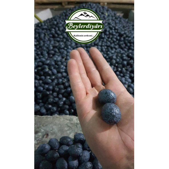 BEYLER DİYARI Gemlik Megalodon zeytin 1 kg - 4