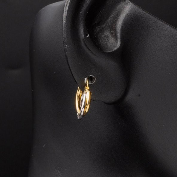 14 Ayar Altın 2 cm Çaplı Halka Küpe - Resim 2