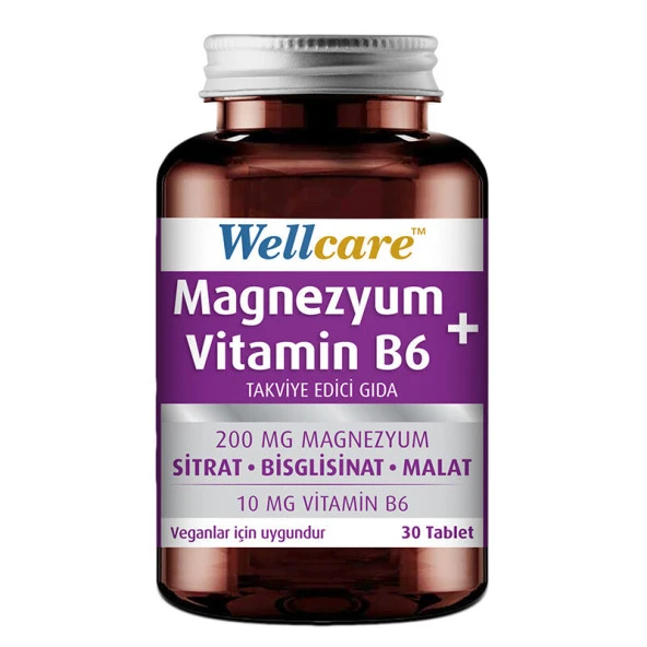 Wellcare Magnezyum + Vitamin B6 30 Tablet