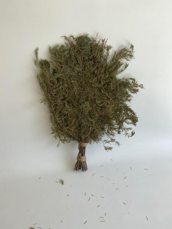 Köknar Banyo ve Sauna Süpürgesi - Organik Köknar Süpürge - 2