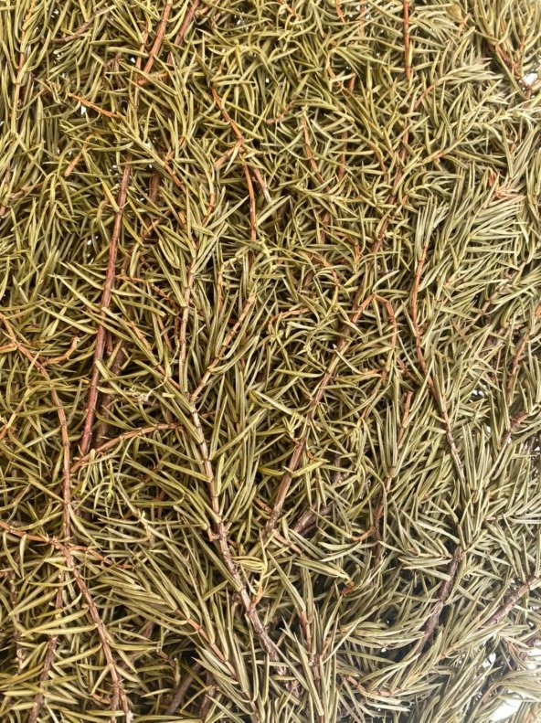 Köknar Banyo ve Sauna Süpürgesi - Organik Köknar Süpürge - 3