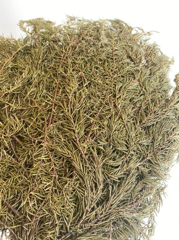 Köknar Banyo ve Sauna Süpürgesi - Organik Köknar Süpürge - 4