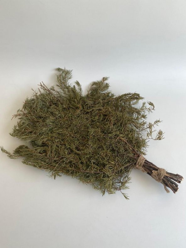 Köknar Banyo ve Sauna Süpürgesi - Organik Köknar Süpürge - 5