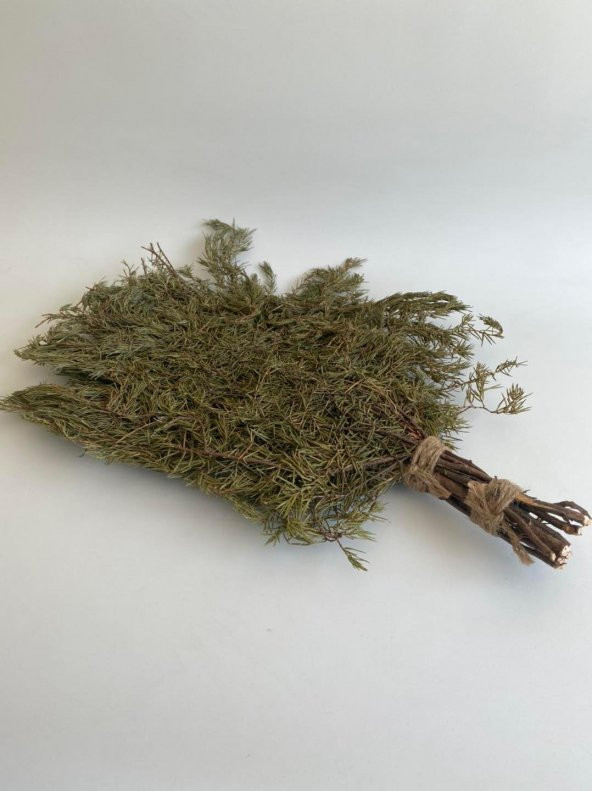 Köknar Banyo ve Sauna Süpürgesi - Organik Köknar Süpürge - 7